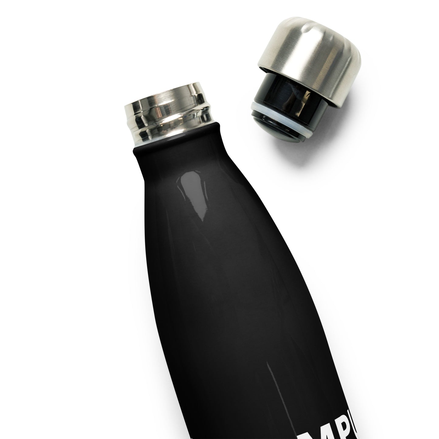 Stainless Steel Water Bottle